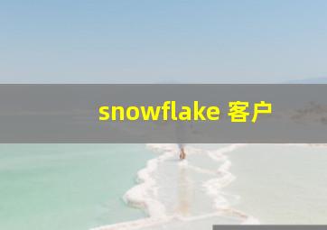 snowflake 客户